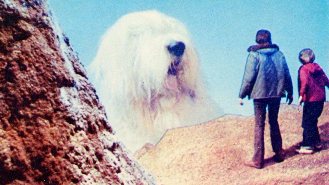bg-hero